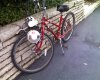 bikebug3 (Medium).jpg