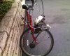 bikebug4 (Medium).jpg