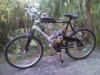 SNC00148Small.jpg