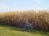 Iowa Countryside 004.JPG
