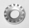 serrated hub washer.jpg