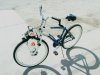 Next with TAS Spitz motor.jpg
