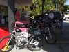 Aripeka Ride 004.JPG