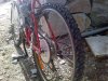 bike.jpg