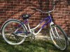 3 speed  schwinn.jpg