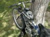 rat rod creep 2.jpg