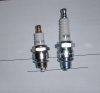 Plugs, 2.JPG