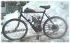 bike.jpg