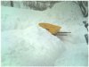 snow1.jpg