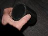 DSC02790.JPG