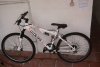 2236nli_20.jpeg