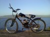bikepic.jpg