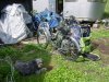 DSC02924.JPG