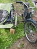 DSC02931.JPG