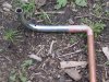 DSC02933.JPG