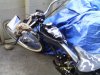 bike snake.jpg