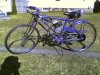 bike _3_16_10.jpg