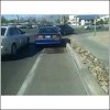 az aholes.jpg