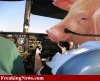 When-Pigs-Fly--16147.jpg