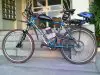 Motorized_bicycle.jpg