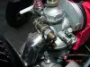 DSC08497.JPG