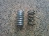New and Old Springs.JPG