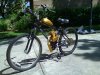 2009diamondback.jpg