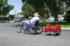 Groc.cart2.jpg