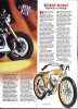 PAPERBOY'S BOARDTRACK.jpg