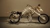 mad-cow-motorcycle_WASaV_3868.jpg
