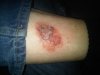 IMG00278-20100713-2032.jpg