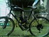 PICT0965.JPG