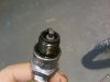 Plug.jpg