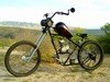 mini-bills_chopper.jpg