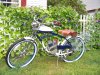 Bikes&Morning glories 023.JPG