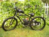 Bikes&Morning glories 027.JPG