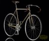 Gold_Bike_Crystal_Edition_4.jpg