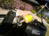 NAPA Gold Fuel Filter_640x480.jpg