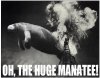 oh the huge manatee.jpg