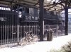 train13.jpg