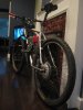IMG_4455 copy.jpg