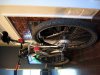 IMG_4504 copy.jpg