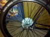 phonepics047.jpg