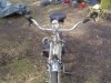 DSC03515.JPG
