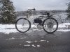DSC03550.JPG