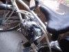 DSC03398.JPG