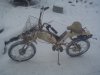 DSC03553.JPG