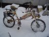 DSC03555.JPG