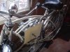 DSC03489.JPG