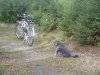 DSC03520.jpg